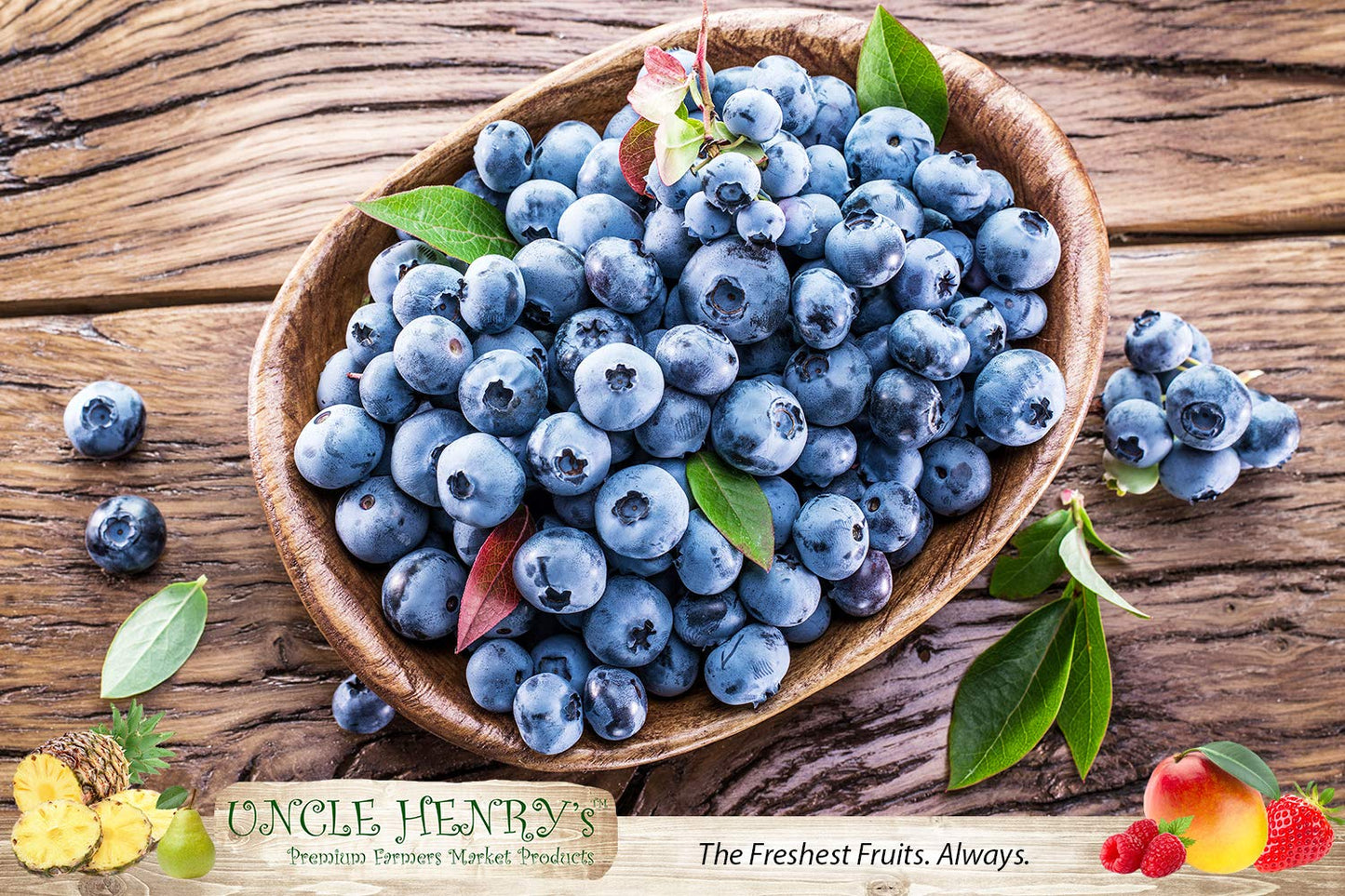 Freeze Dried Fruit: 9 Delicious Fruits Strawberry, Blueberry, Raspberry & More, 5oz (142g) Large Bulk Re-Sealable Kraft Bag in Protective Box: the Ultimate Snack & Breakfast