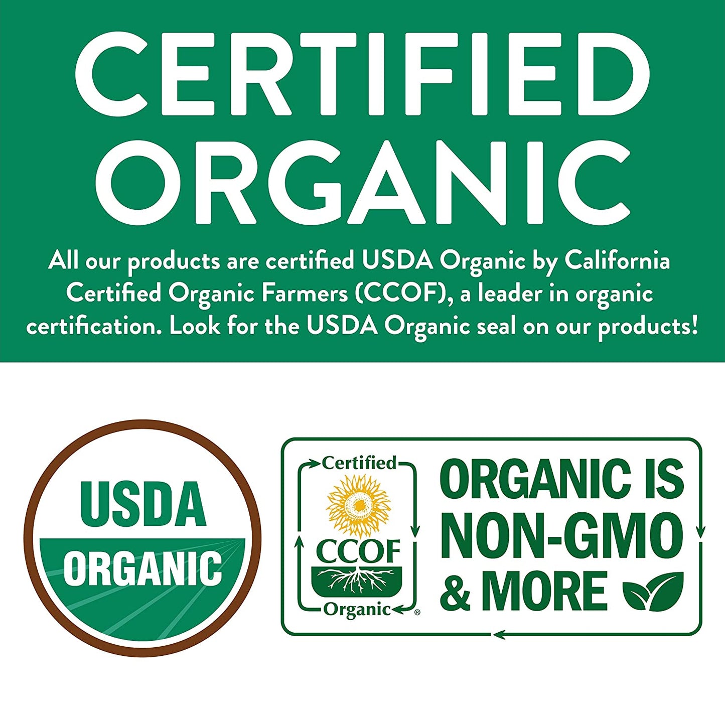 Organic Chia Seeds | Imported from Paraguay | 16oz Resealable Bag